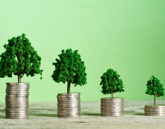 Franquias a partir de R$ 18 mil são opções de investimento durante a feira ABF Franchising Expo
