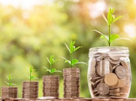 Tipos de investimentos 2020, qual traz a melhor rentabilidade?