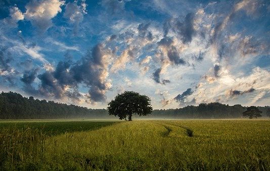 natureza