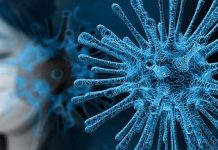 A NOVA CARA DA LIDERANÇA DIANTE DA PANDEMIA