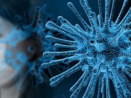 A nova cara da liderança diante da pandemia A NOVA CARA DA LIDERANÇA DIANTE DA PANDEMIA