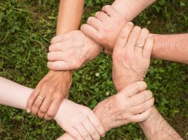 Brasil comemora em julho diversos marcos da Defesa e Garantia de Direitos