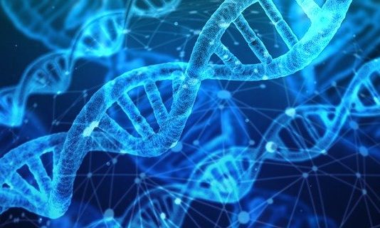 Profissão biólogo – um ramo apaixonante da ciência